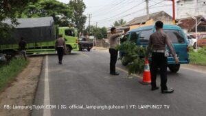 Truk Fuso Bermuatan 20 Ton Beras Terperosok di Jalinbar Pringsewu