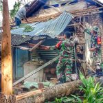 Pohon Tumbang Timpa Rumah Warga, Babinsa Koramil Baradatu Gotong Royong Bersama Warga