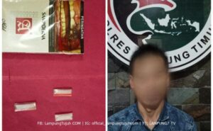 Sat Res Narkoba Polres Lamtim Tangkap Seorang Pemuda Pemakai Narkotika Jenis Sabu