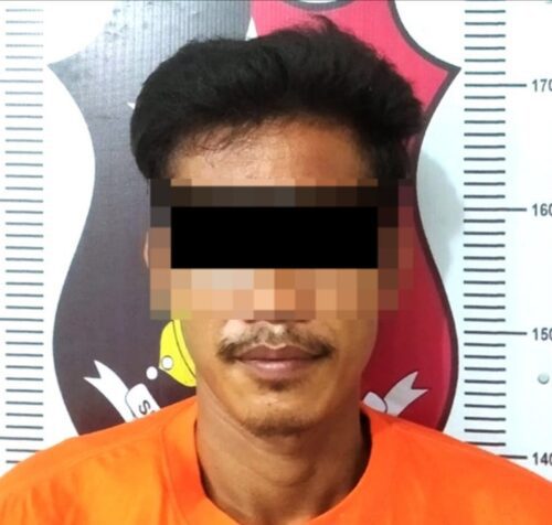 Polisi Ringkus Diduga Pelaku Curi Tandan Buah Kelapa Sawit di Blambangan Umpu