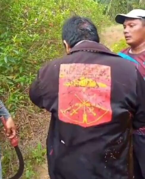 Bentrokan di PT KCMU Pesisir Barat Lampung, Warga Alami Luka Bacok