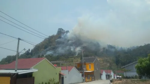 Dampak Kemarau Panjang, Gunung Sepagoh di Sukarame 2 Terbakar