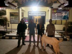 Polisi Berhasil Menangkap Pelaku Pencurian Kambing Di Lamtim