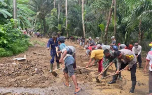 Kapolres Tanggamus dan Pamatwil Polda Tinjau Bencana Banjir Pematang Sawa
