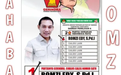 Pengikut Prabowo Pecahkan Sejarah, 2 Kursi untuk Dapil 6 Tanggamus, Romzi Edy Raih Suara Tertinggi