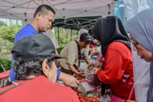 Ketua TP-PKK Metro Monitoring Pasar Tani Agro Ceria, Bagikan 2.300 Bibit Cabai ke Masyarakat