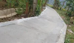 Pemerintah Pekon Waykerap Lakukan Pembangunan Jalan Usaha Tani Sepanjang 500 Meter