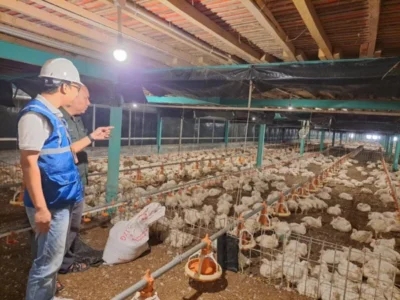 Tarif Listrik April-Juni 2024 Tetap, Pemerintah Perhatikan Daya Beli Masyarakat dan Dukung PLN Jaga Mutu Pelayanan