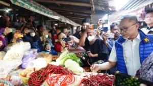 Zulhas Sebut Harga Cabai Tembus Rp100 Ribu per Kg