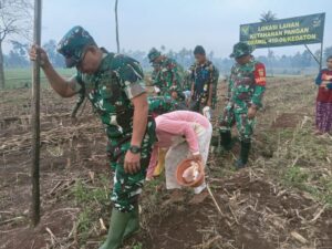 Dukung Ketahanan Pangan, Anggota Koramil 410-06/Kedaton Manfaatkan Lahan Kosong Bertani Jagung