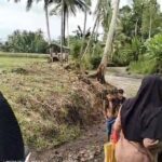 Masyarakat Pekon Sampang Turus, Harapkan Pemerintah Daerah Segera Realisasikan Jembatan Permanen