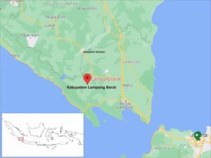 Pengumuman Pembukaan Seleksi Calon Anggota Komisaris dan Direksi BUMD Kabupaten Lampung Barat 2024
