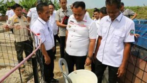 Bupati Lampung Selatan Apresiasi Budidaya Benur dan Udang Vaname di Desa Way Muli
