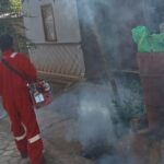 Keluhan Warga Sumber Rejo Terkait Penanganan DBD