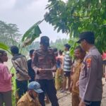Terjadi Kembali, Polsek Semaka Identifikasi Dugaan Warga Diserang Buaya, 1 Hilang dan 1 Luka