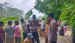 Terjadi Kembali, Polsek Semaka Identifikasi Dugaan Warga Diserang Buaya, 1 Hilang dan 1 Luka