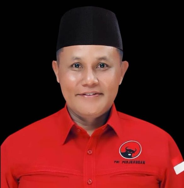 PKPU Terbit, Nanang Ermanto Dipastikan Bisa Maju Kembali di Pilkada Lamsel 2024