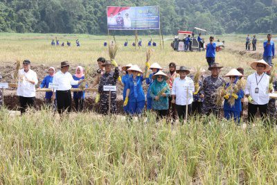 Mentan dan Wakasal Bersama Pj. Gubernur Lampung Panen Raya Padi dan Jagung di Pantai Caligi, Pesawaran