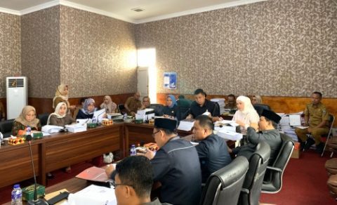 Anggota Banggar DPRD Lamsel, Bowo Minta Dirut RS Bob Bazaar Penambahan Petugas di Registrasi Pasien
