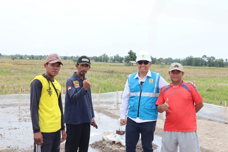 Refleksi Hari Pahlawan, Local Hero Inspiratif! Suparmin Berhasil Wujudkan Ketahanan Pangan di Lampung Selatan Melalui Bantuan PLN Peduli