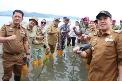 Pj Gubernur Lampung Tanam Mangrove Bersama Brigif 4 Marinir dan Mitra dalam Peringatan HUT Ke-79 Korps Marinir