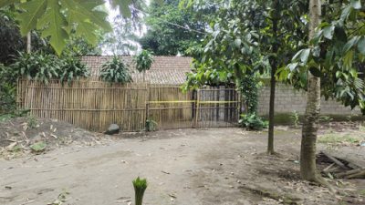 Pembunuhan Sekeluarga di Kediri: 3 Orang Tewas, 1 Anak Selamat, Mobil Hilang