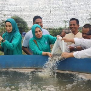 TP-PKK Provinsi Lampung dan Mitra Sepakati Percepatan Pengembangan Kawasan PKK Agropark