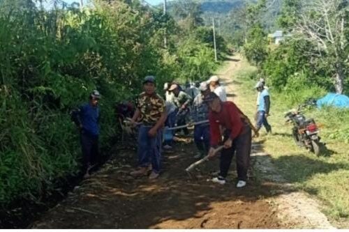 Warga Pekon Tapak Siring Gelar Gotong Royong Bersihkan Lingkungan