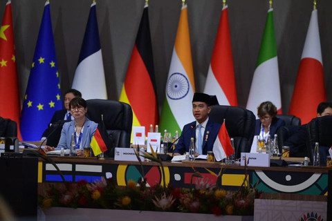 Kebijakan Bebas Visa Indonesia–Afrika Selatan: Peluang Strategis dan Tantangan Implementasi