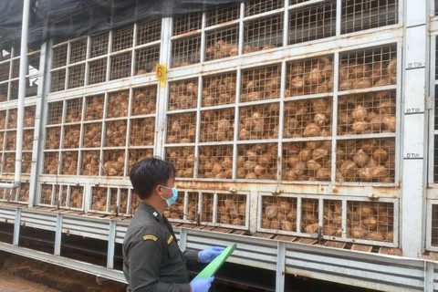 Karantina Kepri Fasilitasi Ekspor 129,4 Ton Santan Kelapa Beku Bintan ke China