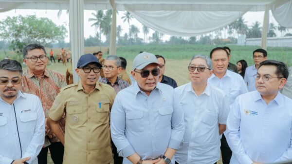 Gubernur Rahmat Mirzani Dampingi Wamen Investasi dan Hilirisasi Tinjau Calon Lokasi Pabrik Bioetanol di Tegineneng